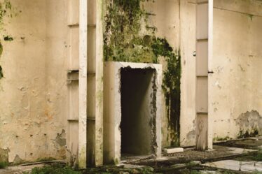 Voorkom schade en gezondheidsklachten door schimmel in huis